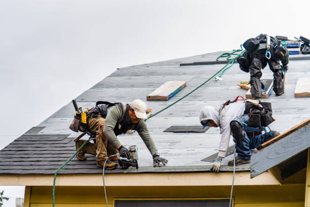 Professional Storm Damage Roof Repair technician working in Markleton, PA
